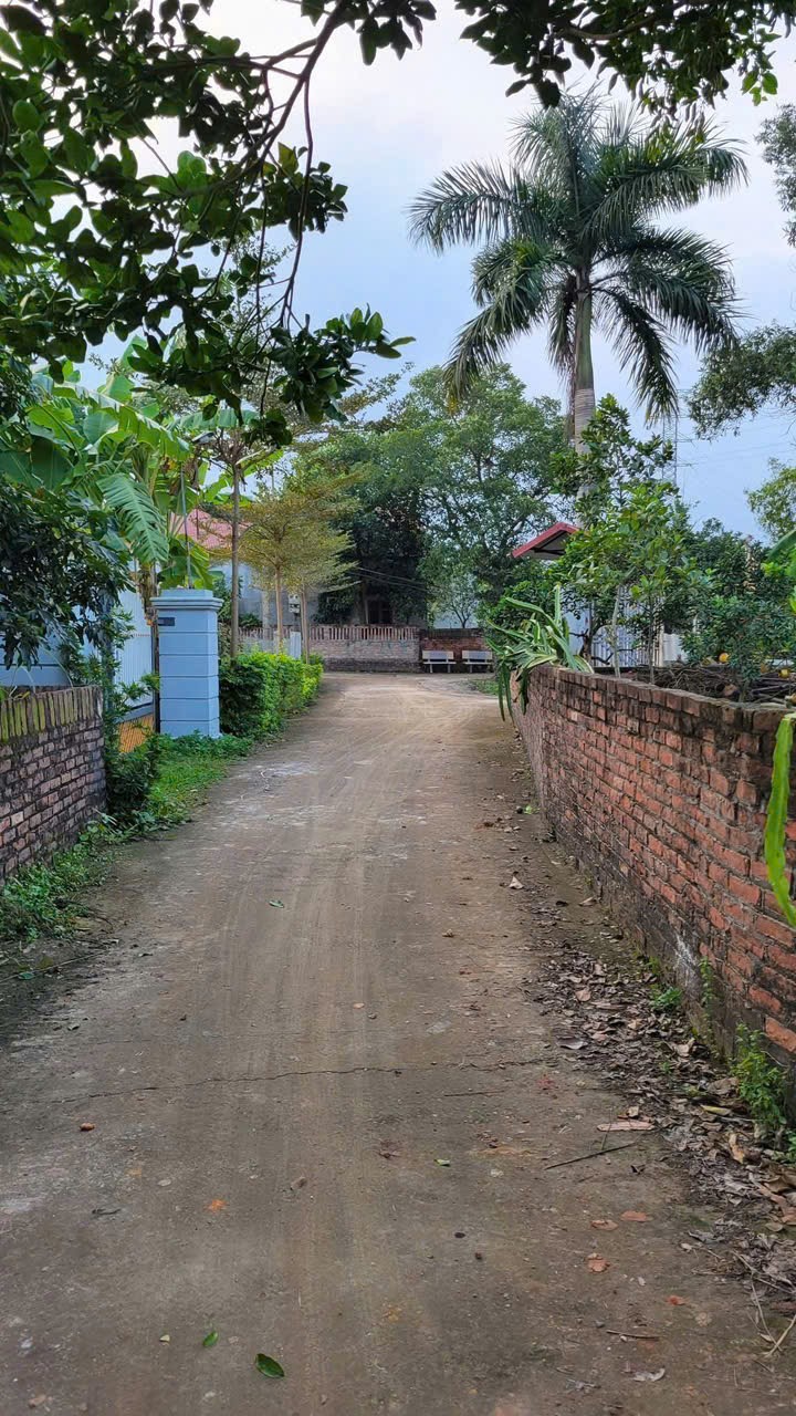 Bán đất