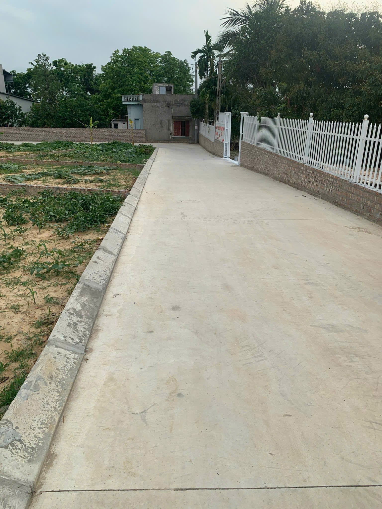 Bán đất