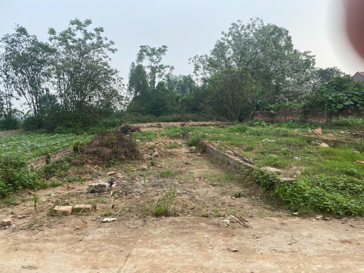 Bán đất
