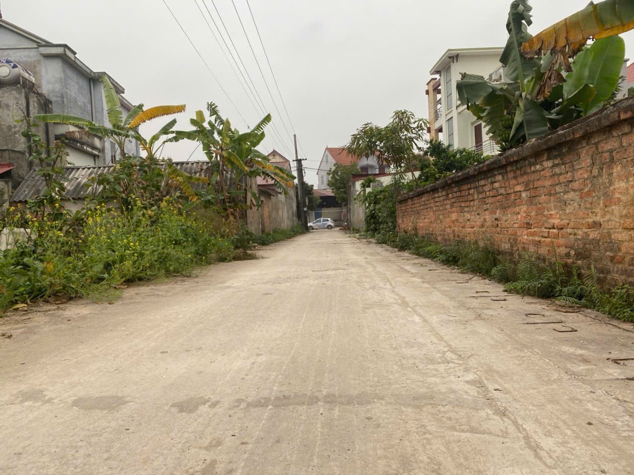 Bán đất