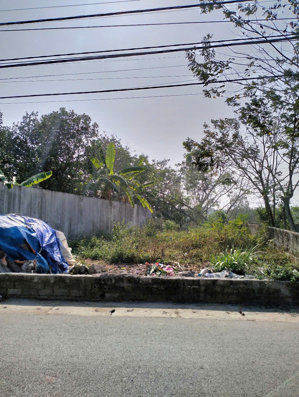 Bán đất