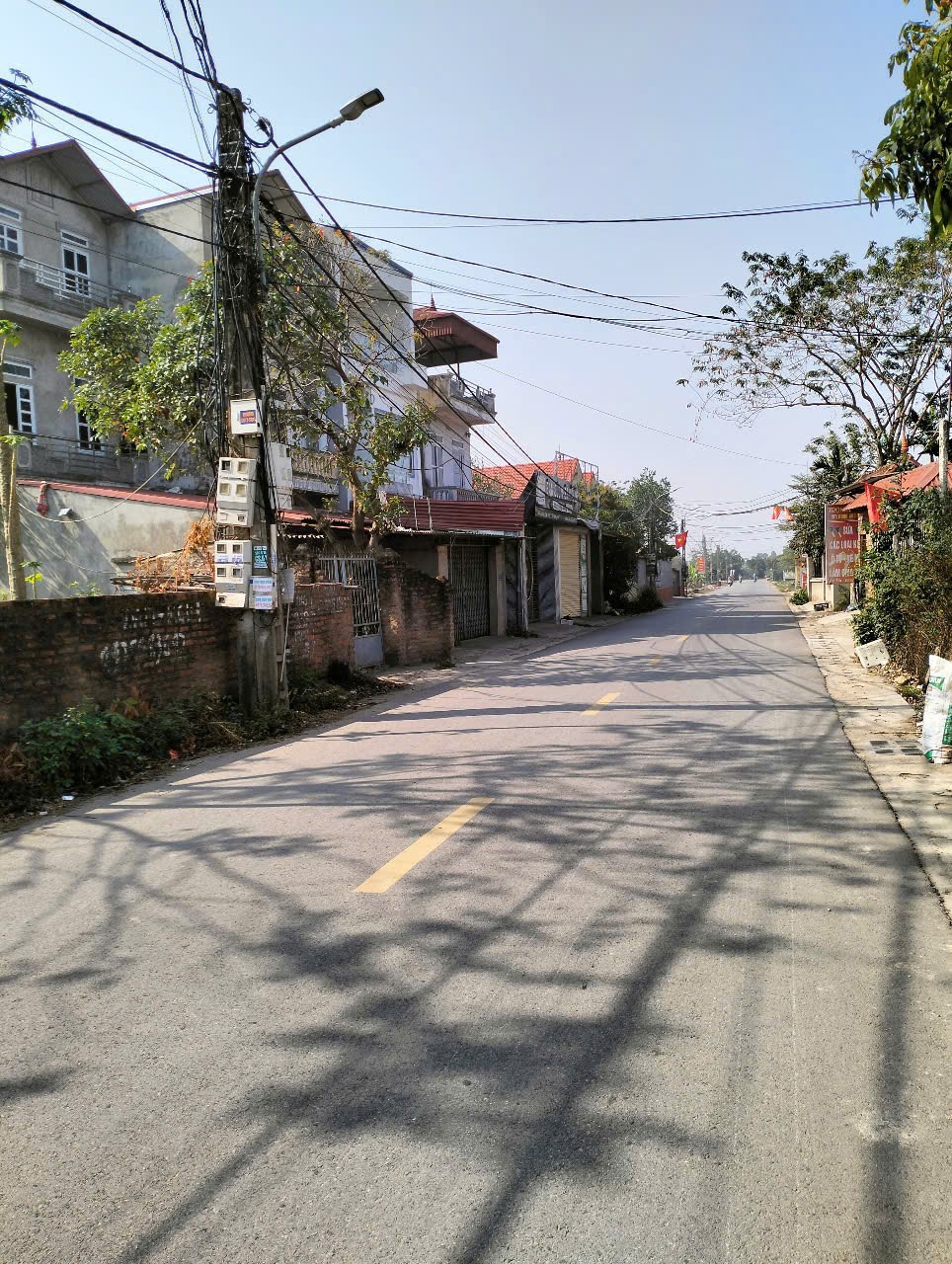 Bán đất