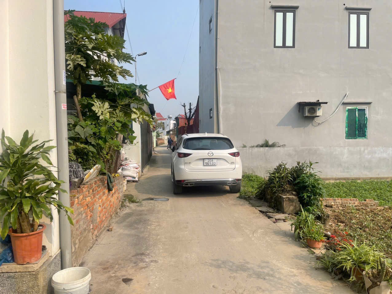 Bán đất