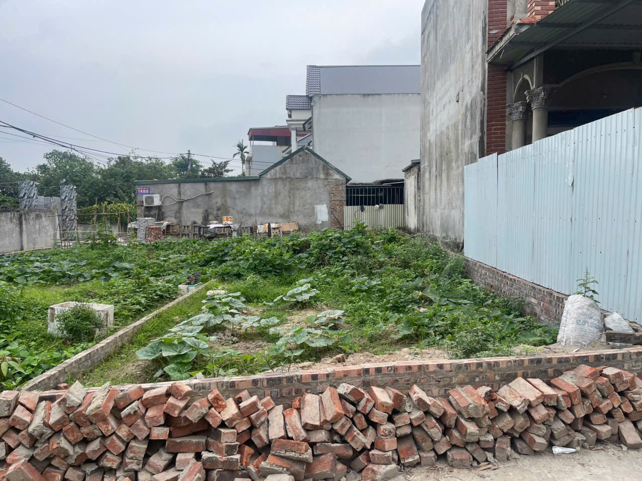 Bán đất