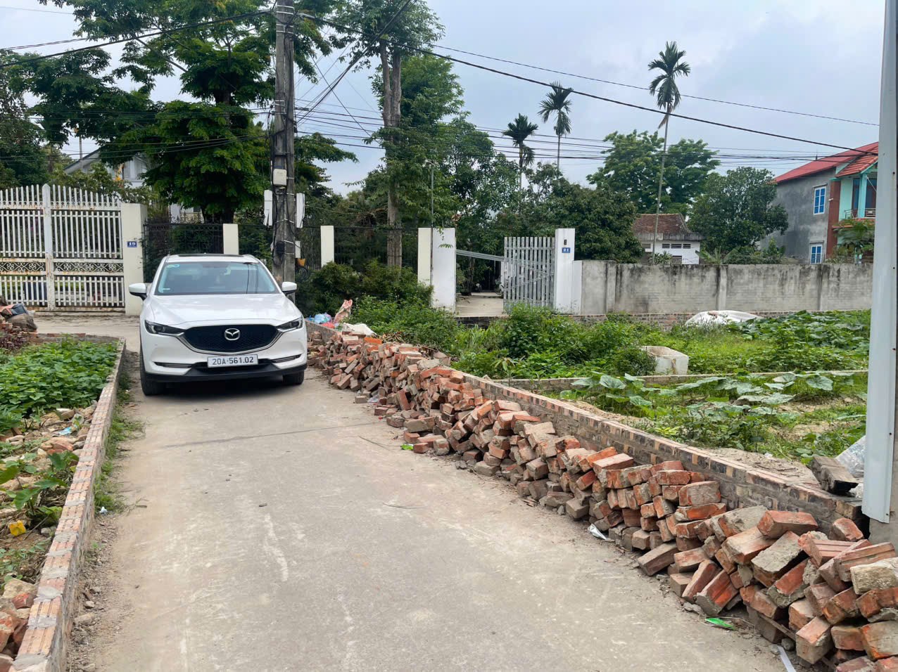 Bán đất