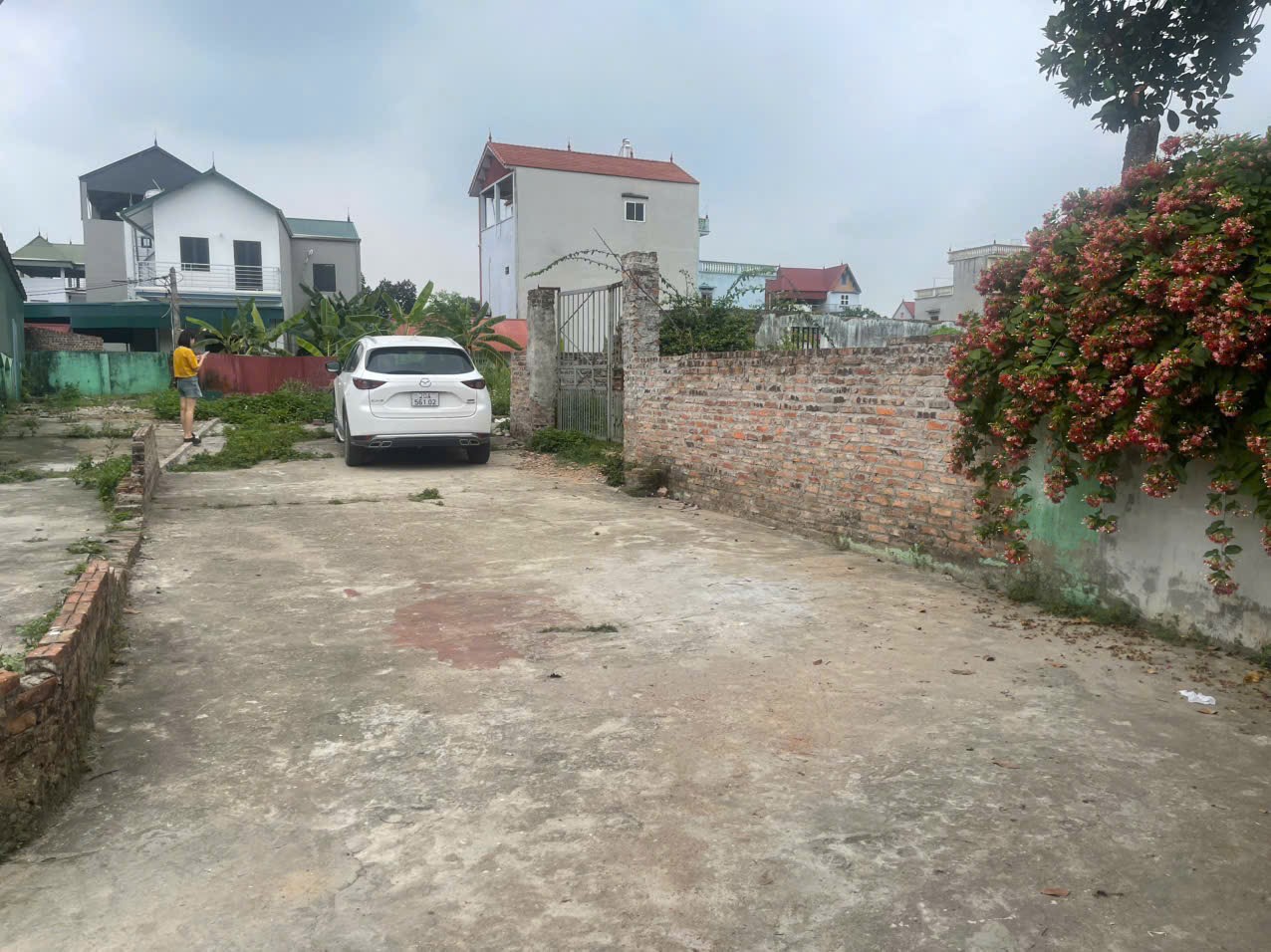 Bán đất