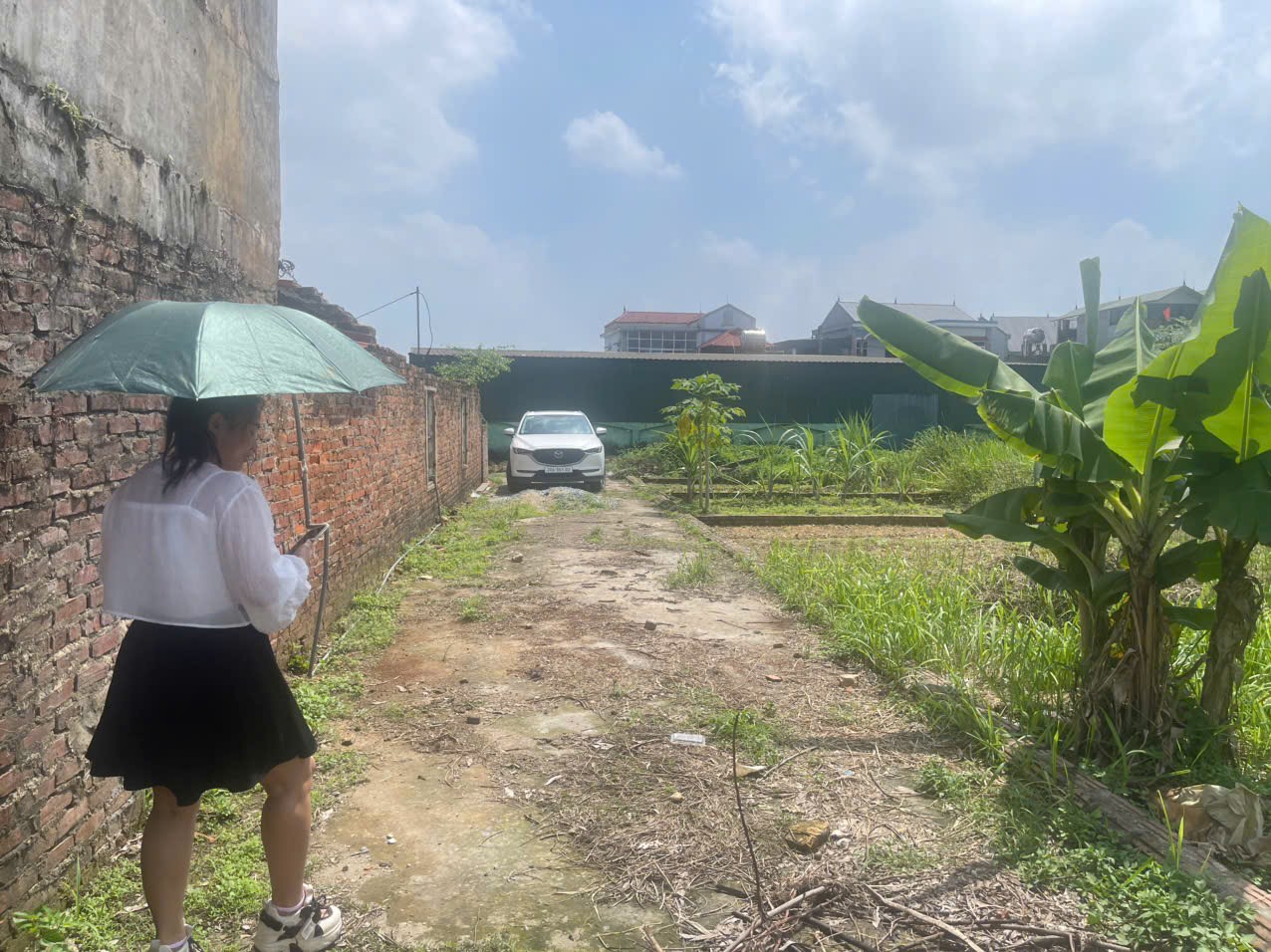 Bán đất