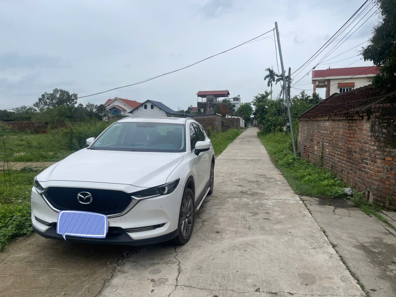 Bán đất
