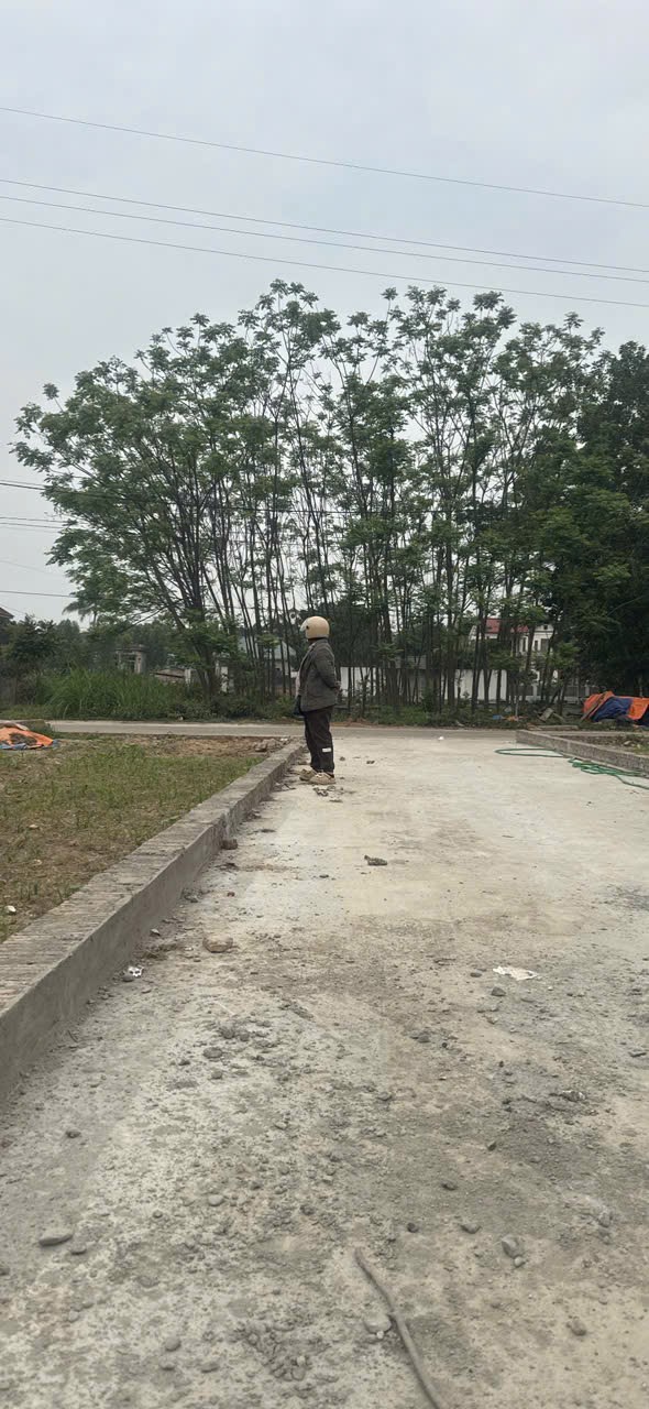Bán đất