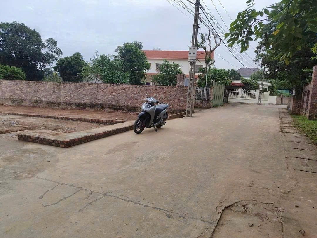 Bán đất