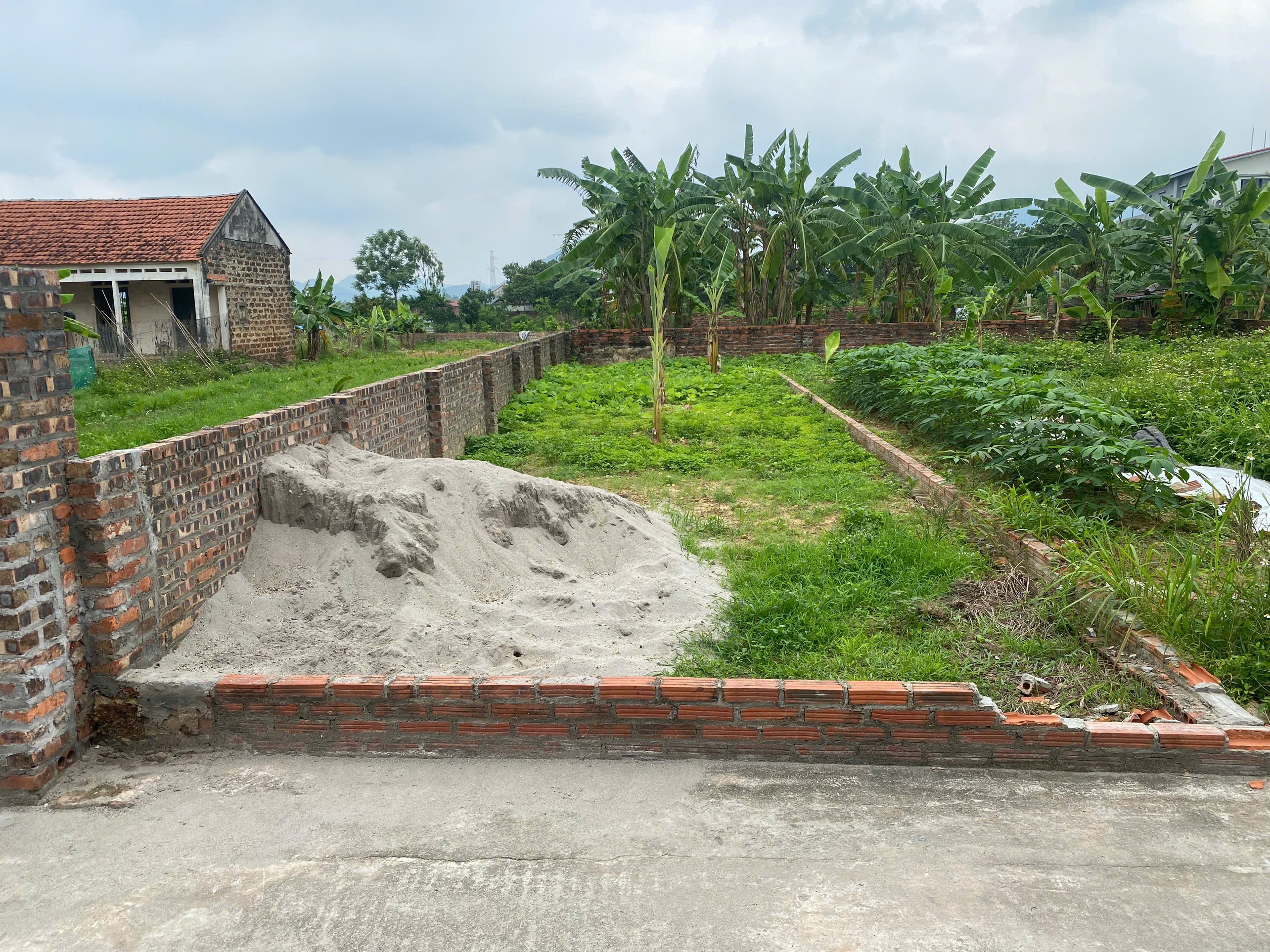 Bán đất