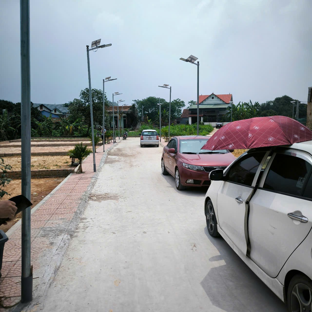 Bán đất