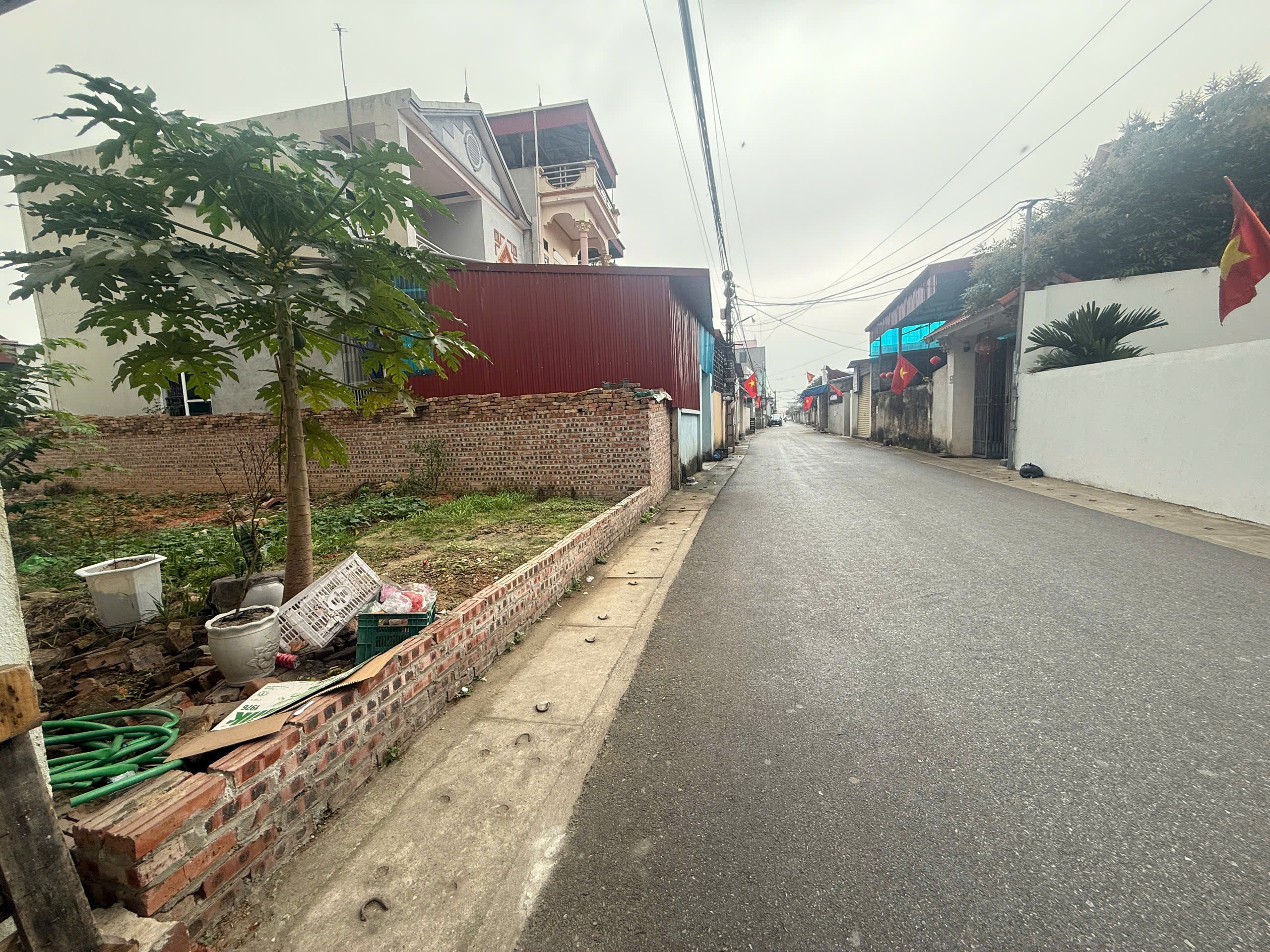 Bán đất