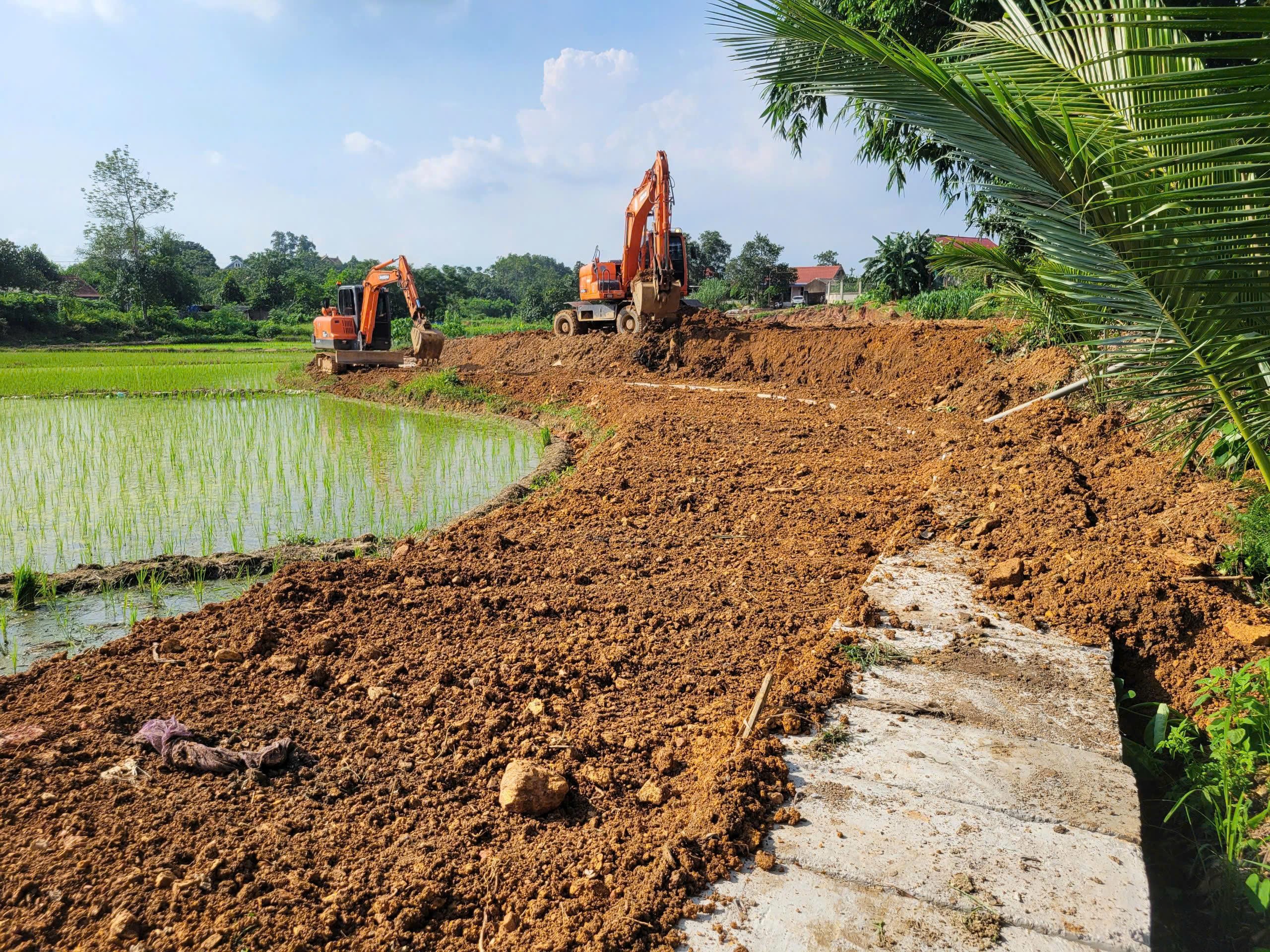 Bán đất