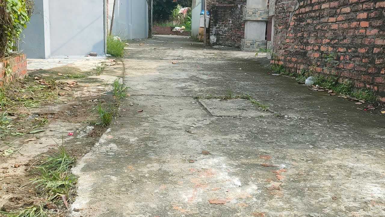 Bán đất